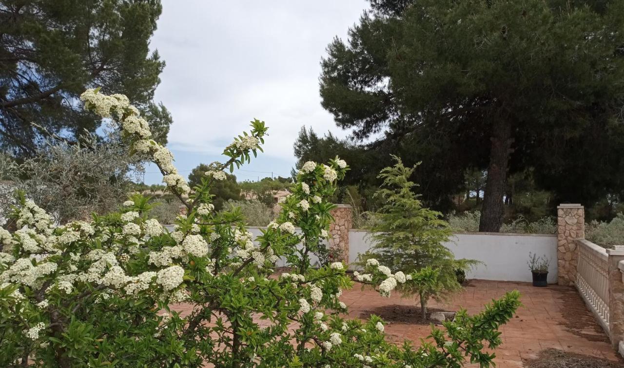 Casa De Pascual Villa Yecla Eksteriør bilde
